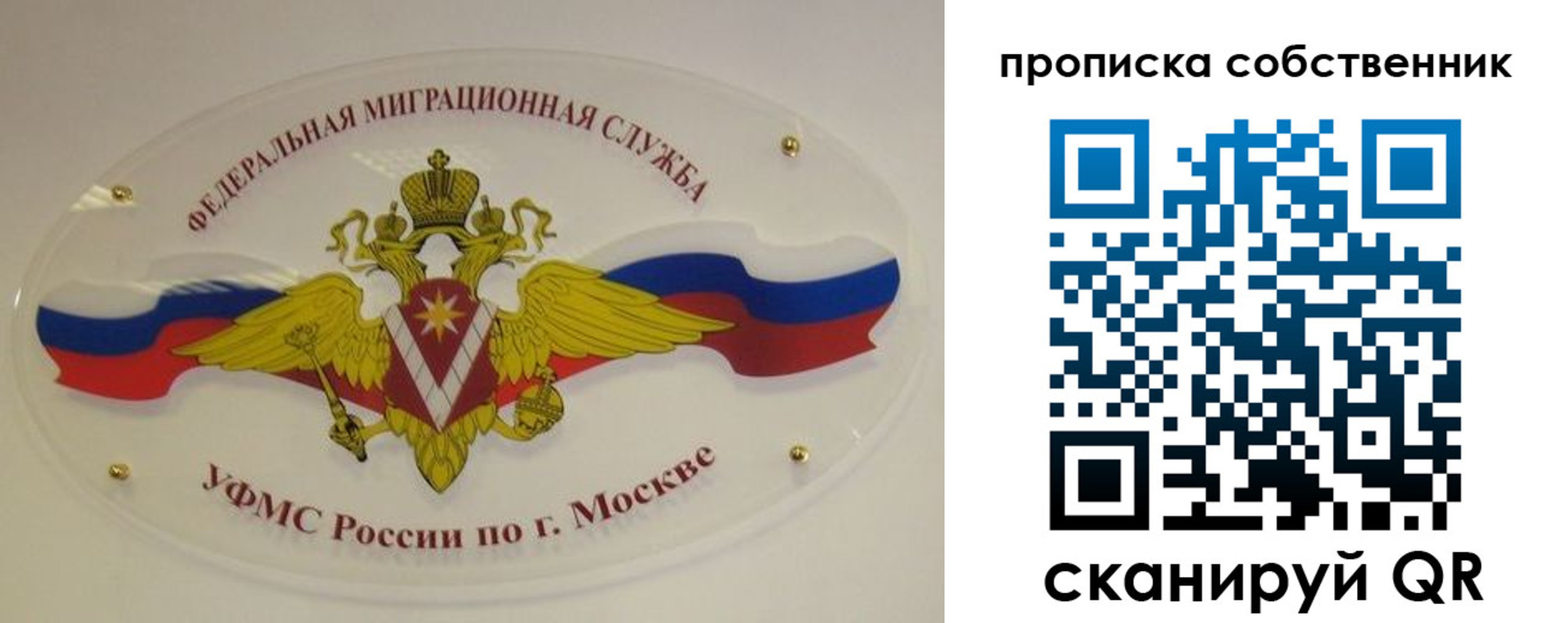 прописка 2025 в Похвистнево